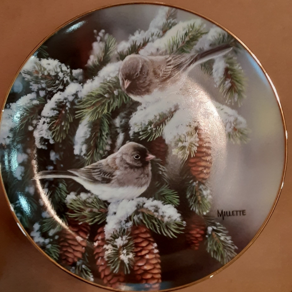 Winter Gems Junco Collector Plate